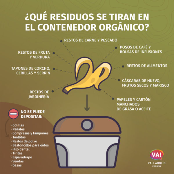 Infografía sobre el contenedor marrón y sus residuos