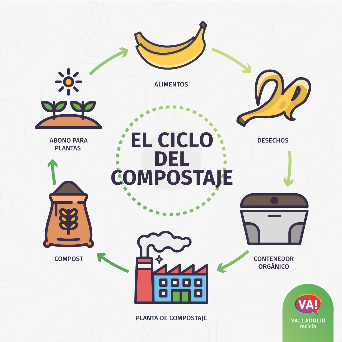 Infografía Sobre El Ciclo Del Compostaje Valladolid Recicla