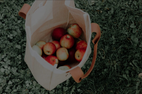 Bolsa de tela para reducir los residuos que producimos en casa