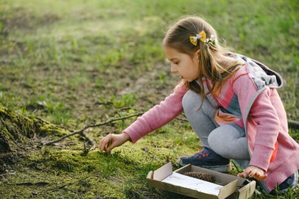 educación ambiental