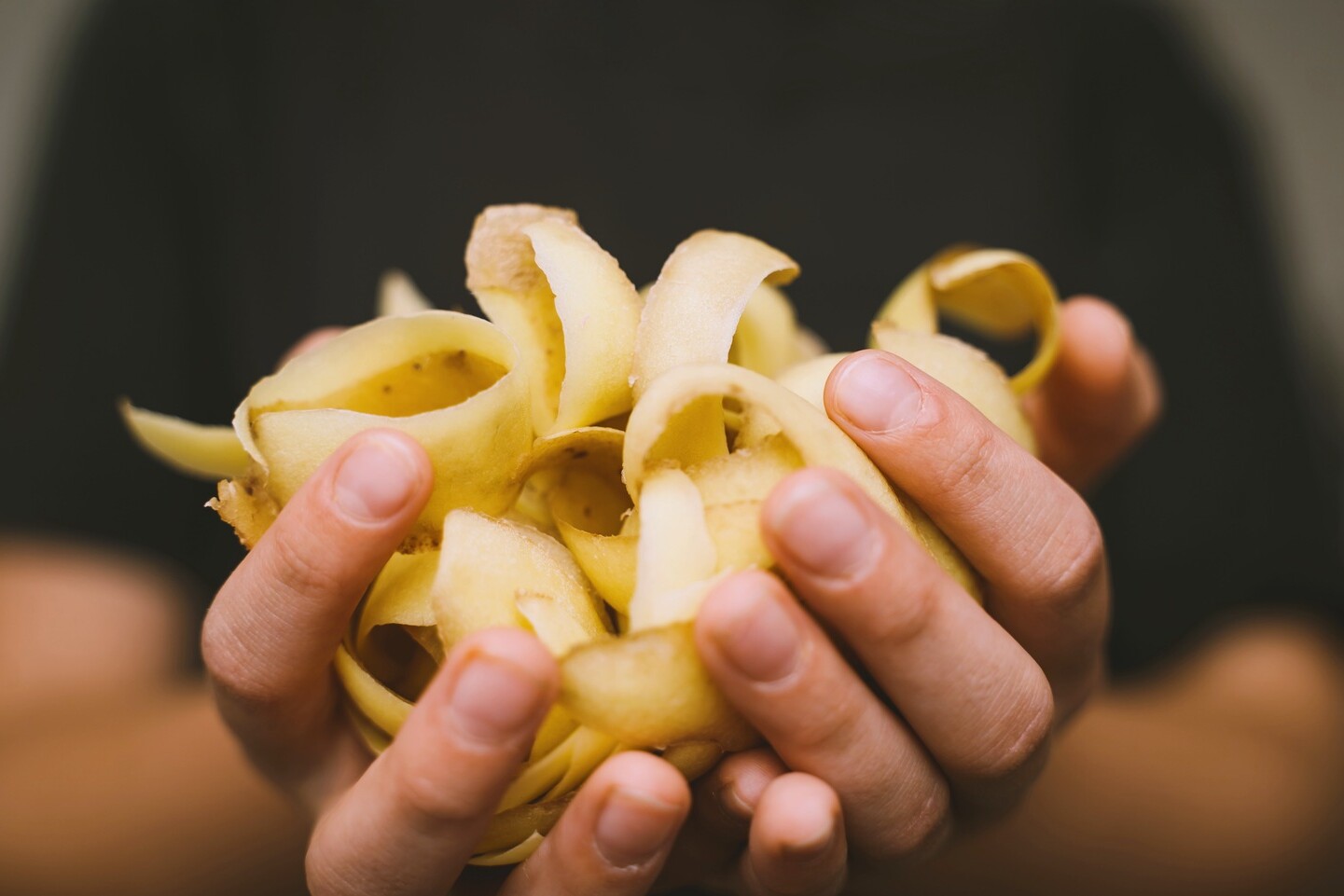 desperdicio alimentario